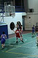 IMG_4064pallacanestro Roma